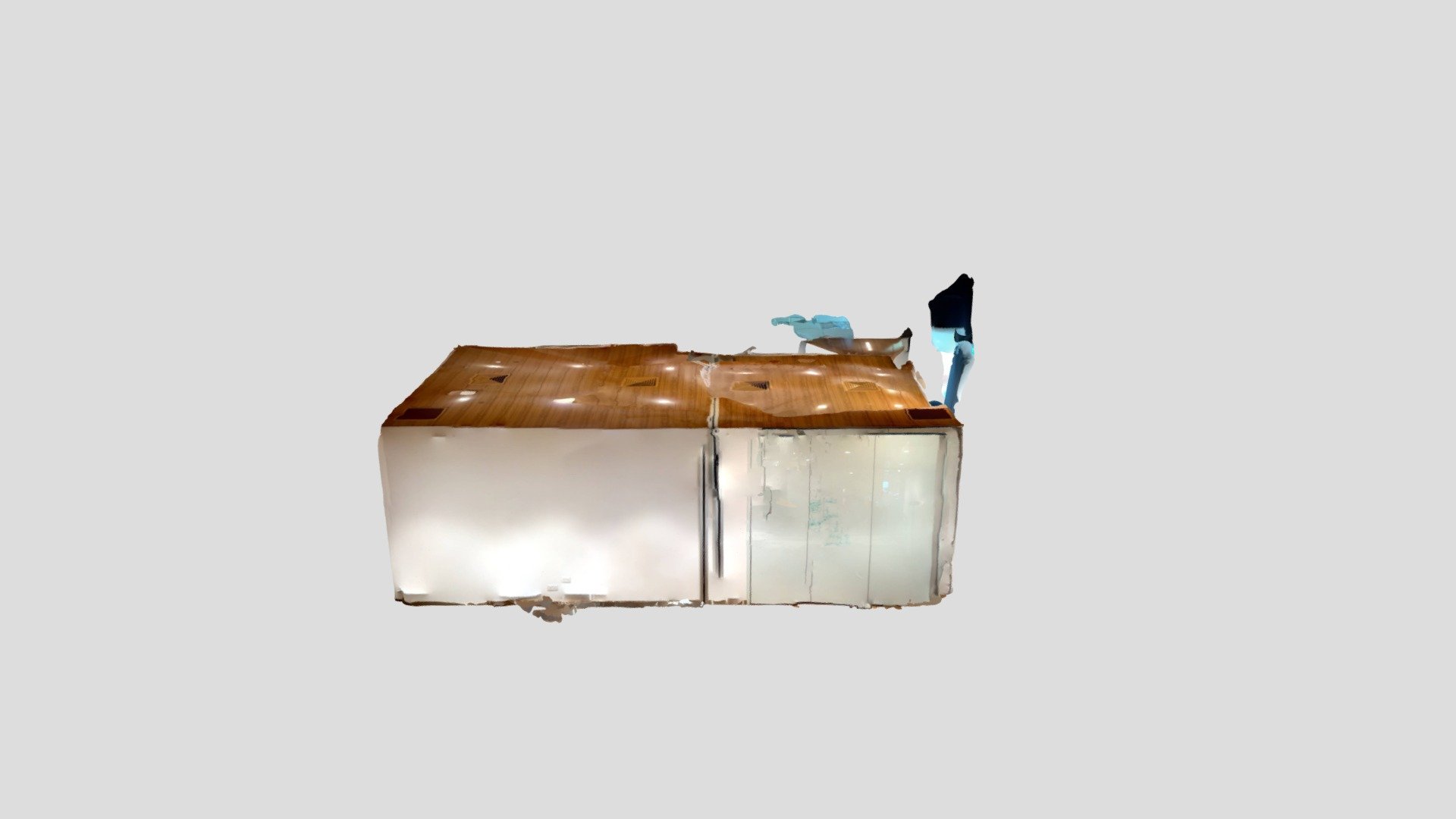 Dxr clean -poly