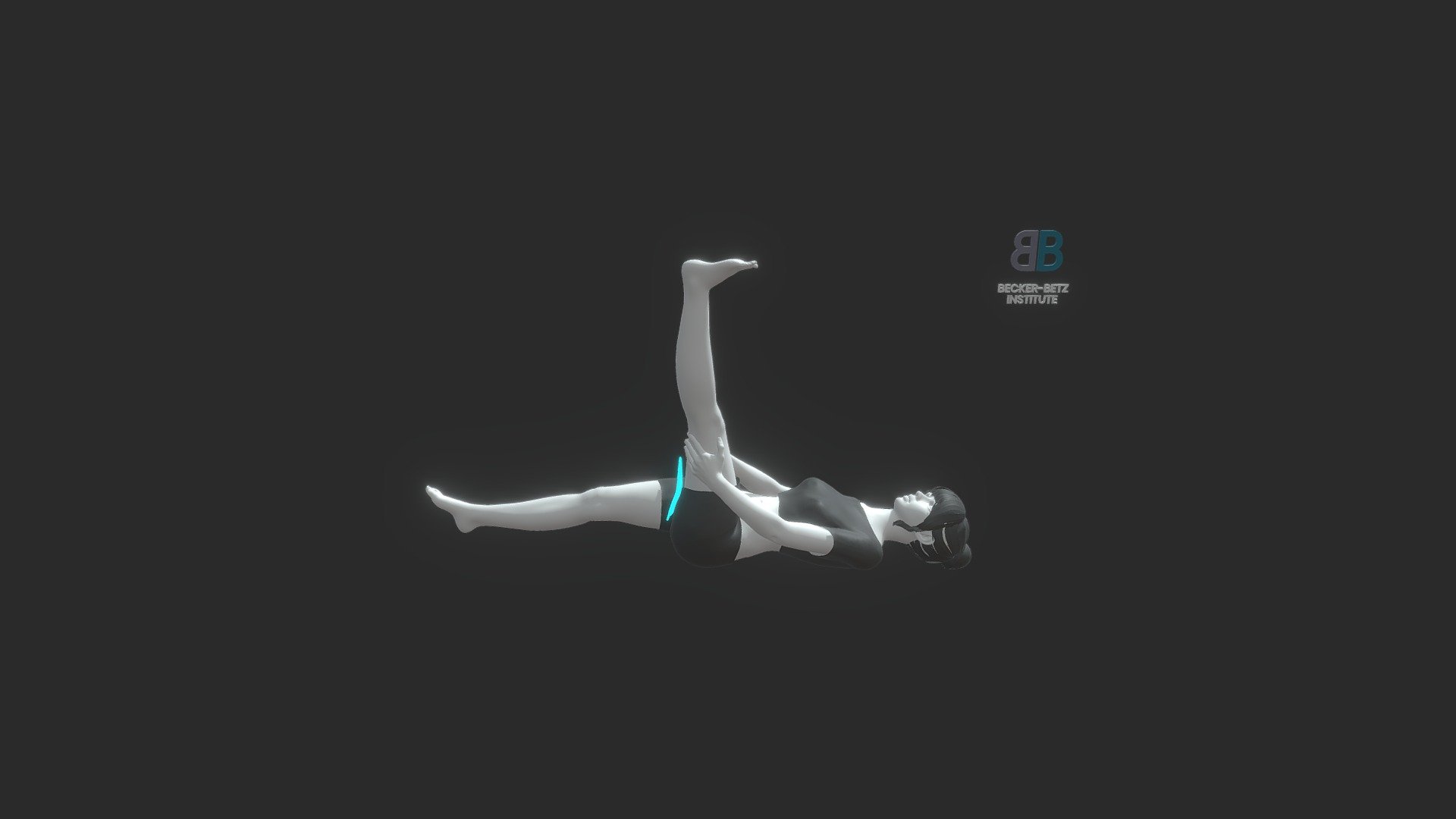 Hamstrings_5_FEMALE - 3D model by BeckerBetz [3548ec9] - Sketchfab