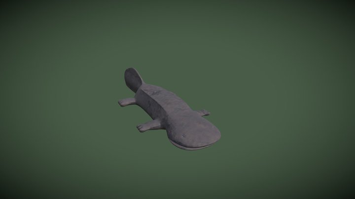 Giant Salamander 3D Model