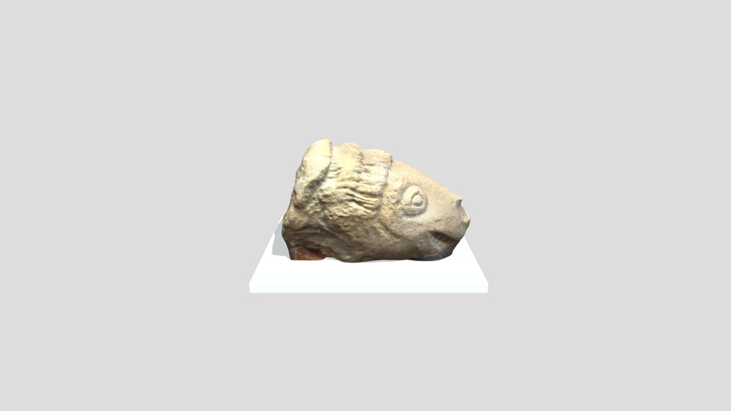 Cabeza Grifo