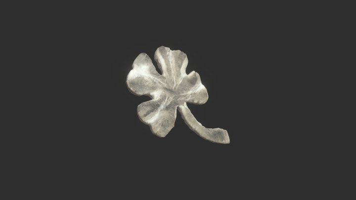 Collection-Fauriat: Clover Made From Plexi 3D Model