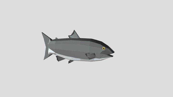 Low Poly Sea Fish 3D Model