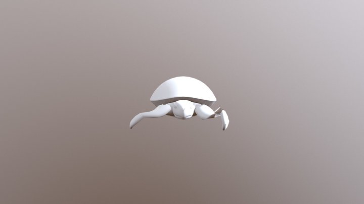 Turtle Swim Test2 3D Model