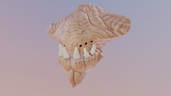 Alien Beast - Only Head 3D Model