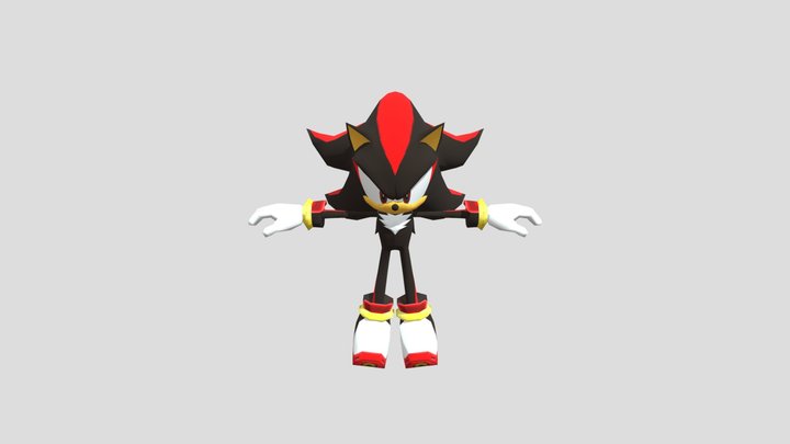 The Hedgehog - Shadow 3D Model