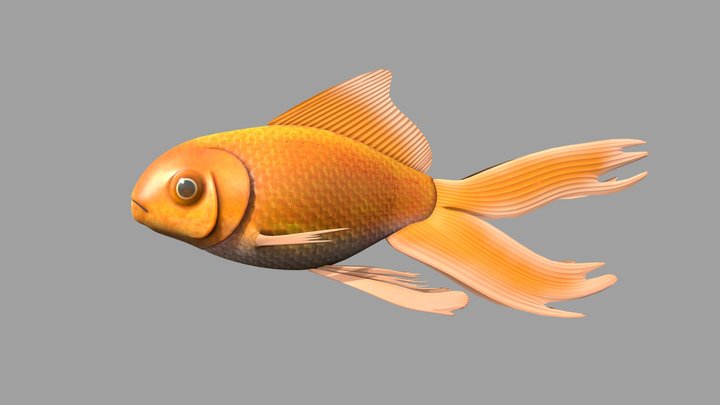 Orange fish