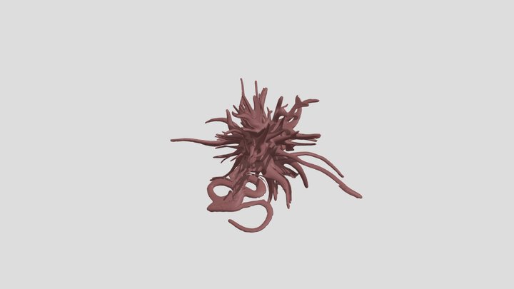 Virus 3D Model