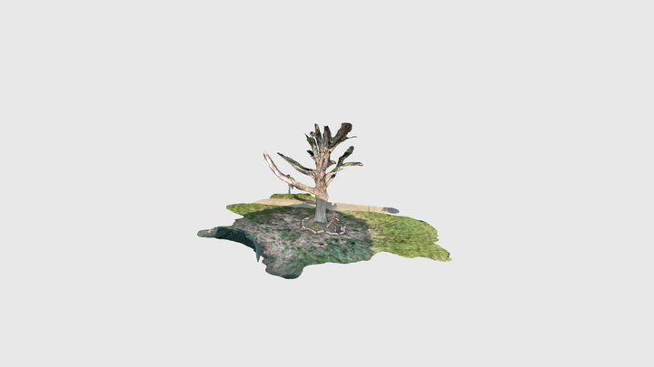 Dubuque tree 3D Model