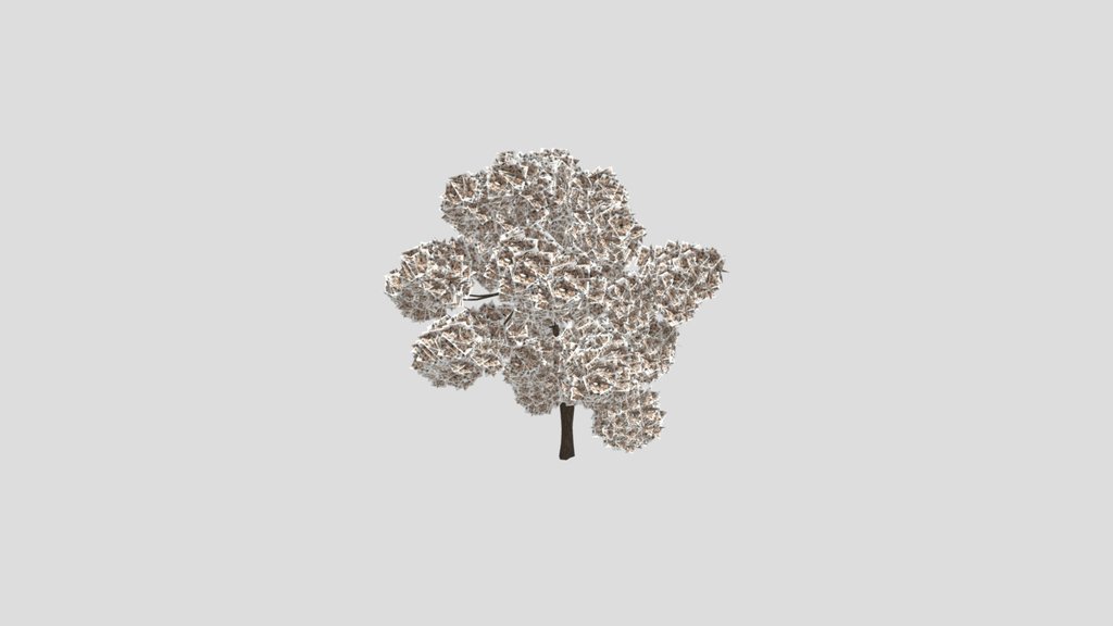 White Flowered Light Green Leaved Tree