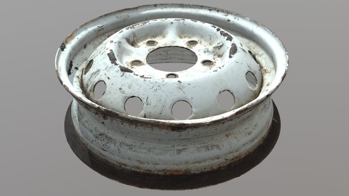 Rim Scan 3D Model