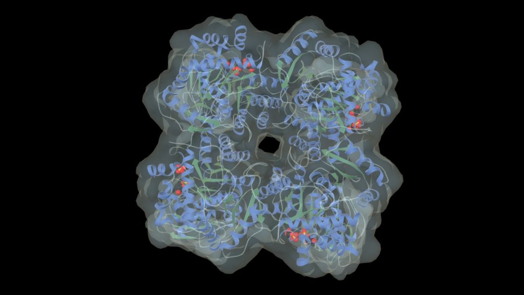 Rubisco (1AA1) Ribbon model - 3D model by fecr2o4 [356e167] - Sketchfab
