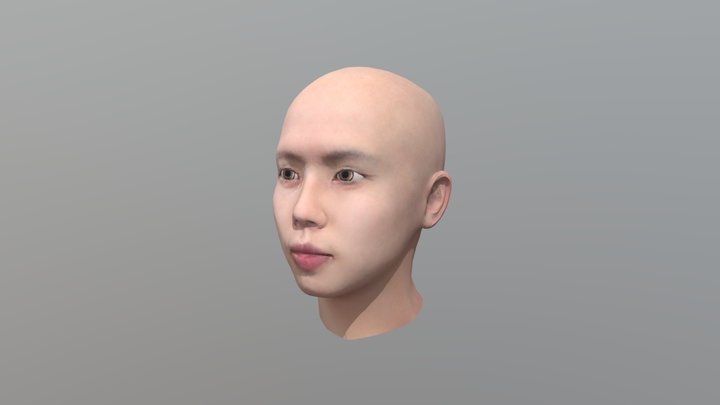 634230052 My Head Model 3D Model