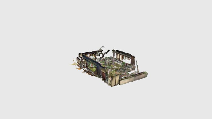 Scaniverse Model 3D Model