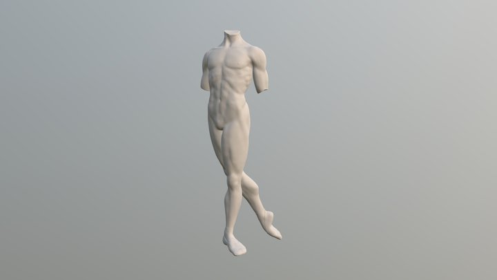 Anatomy study 3D Model