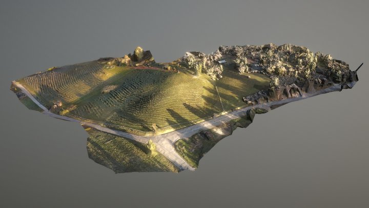 (Papillon Cellars) Aerial 3D Scan 3D Model