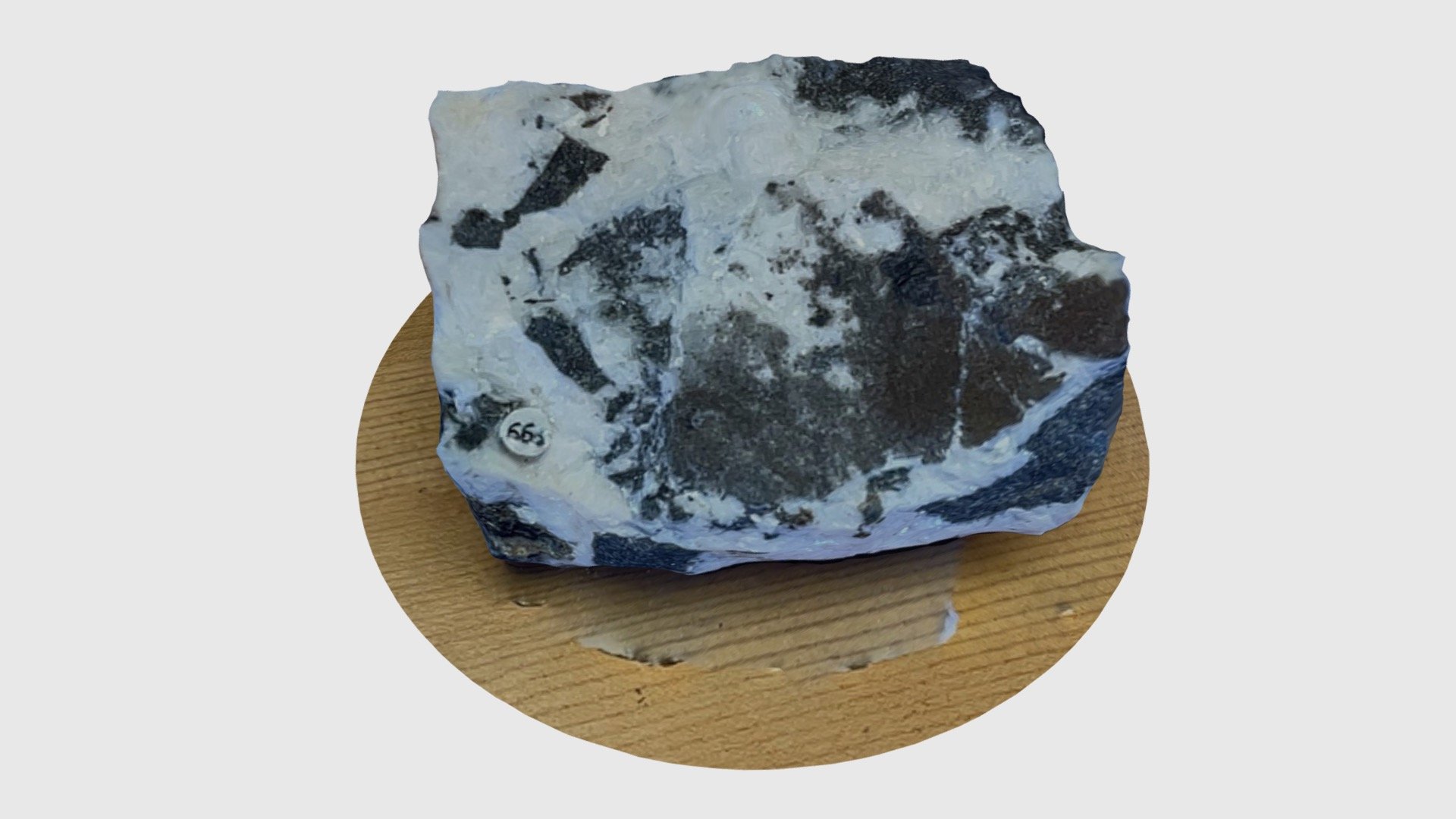 Ward’s Collection # 66 - Download Free 3D model by University of ...