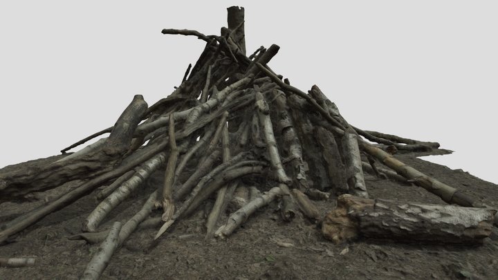 Forest Wood Pile Photogrammetry {GameReady} 3D Model