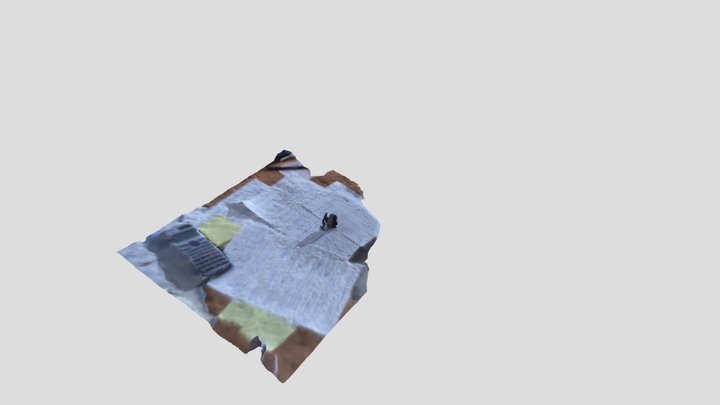 1 3D Model