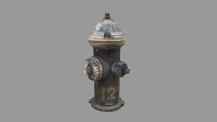 Fire Hydrant - 26th Street, NYC 3D Model