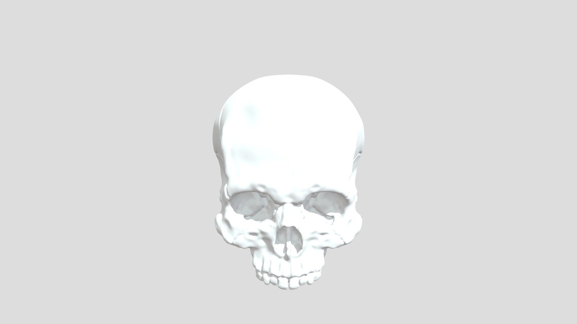 Skull - Download Free 3D model by kuffikappi [358208f] - Sketchfab