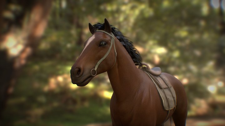 horse_test 3D Model
