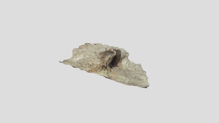 Rhinolophe 3D Model