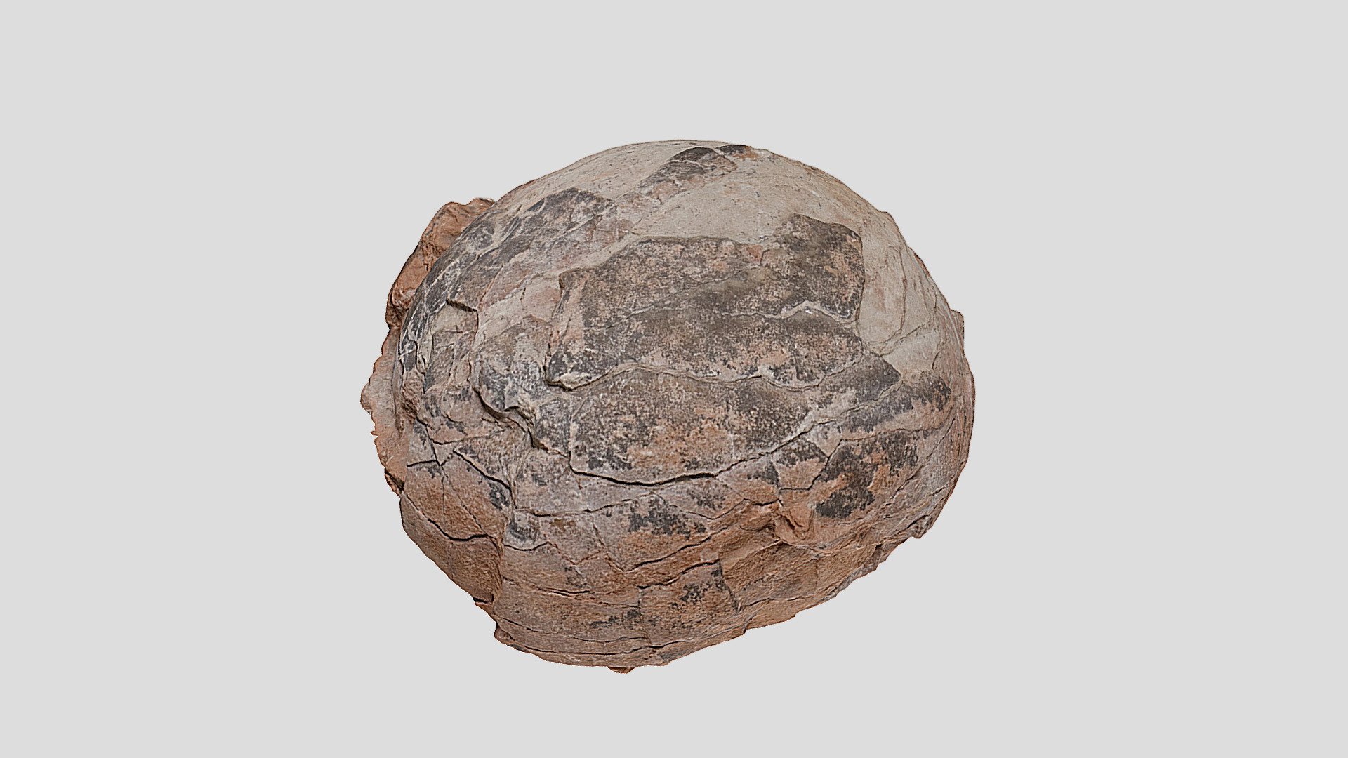 Ep. #54 Hadroasur Egg