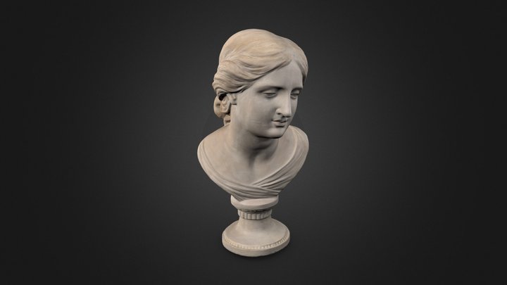 Venus - plaster bust 3D Model