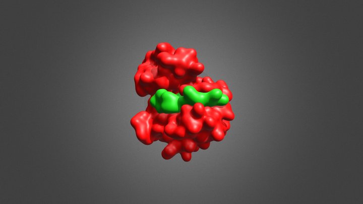 Insulin receptor kinase / IRS2 KRLB peptide 3D Model