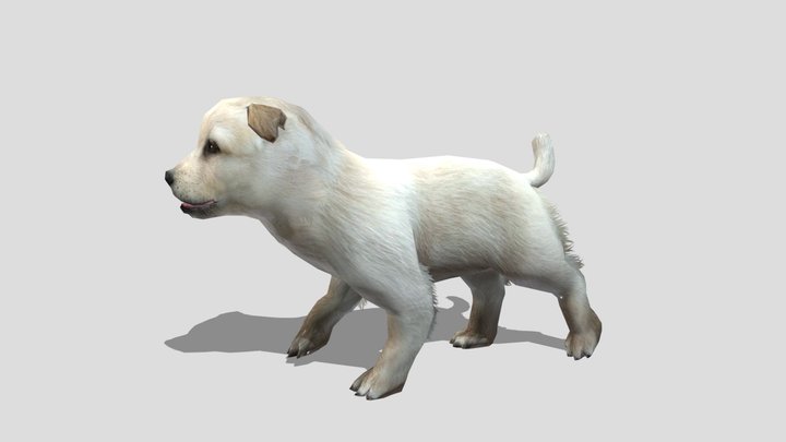 Puppy – Stylized Animated 3D Model – Modello 3D gratuito STL
