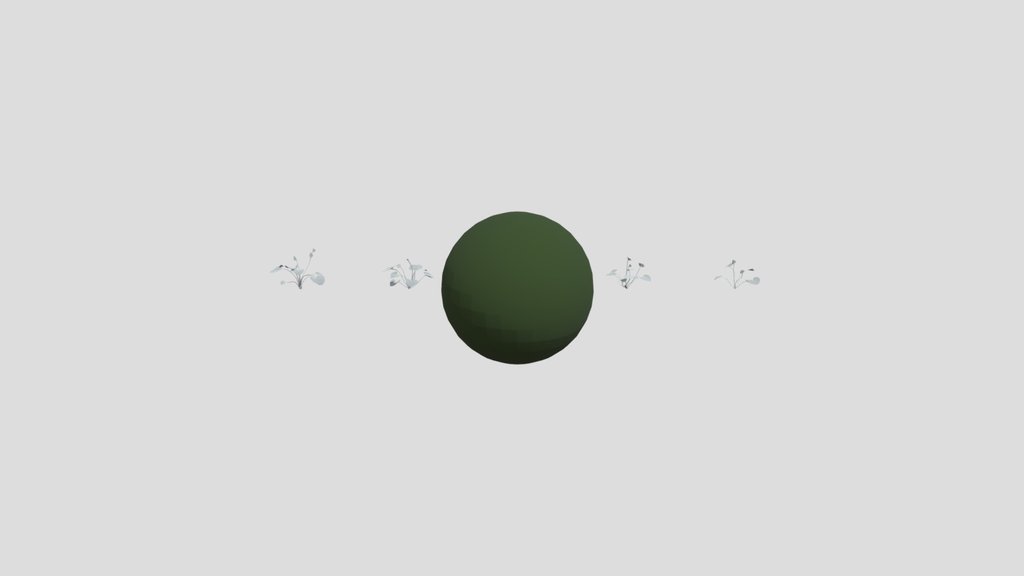 Celandine 01