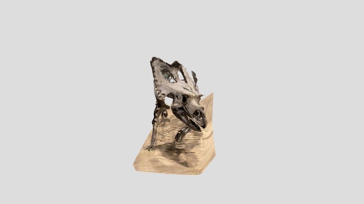 Dinosaur 1 3D Model