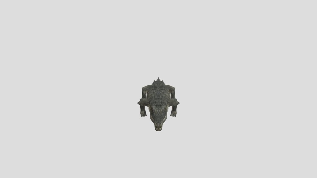 Crocodile