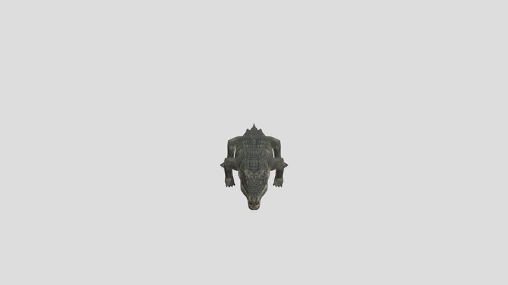 Crocodile