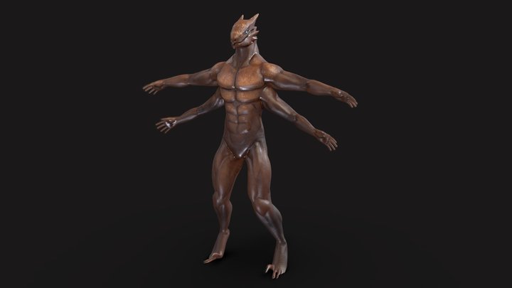 Animal Creation Assignment 3D Model