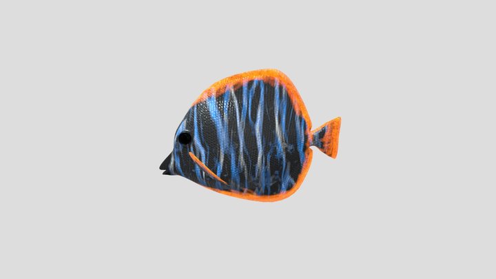 Fish 3D Model