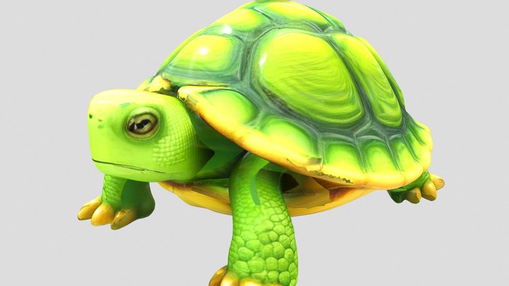 ⚚Turtle⚚❌⚚Number-Ⅰ᛫⚚
