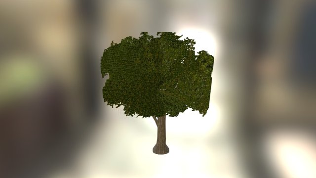 Tree 3D Model