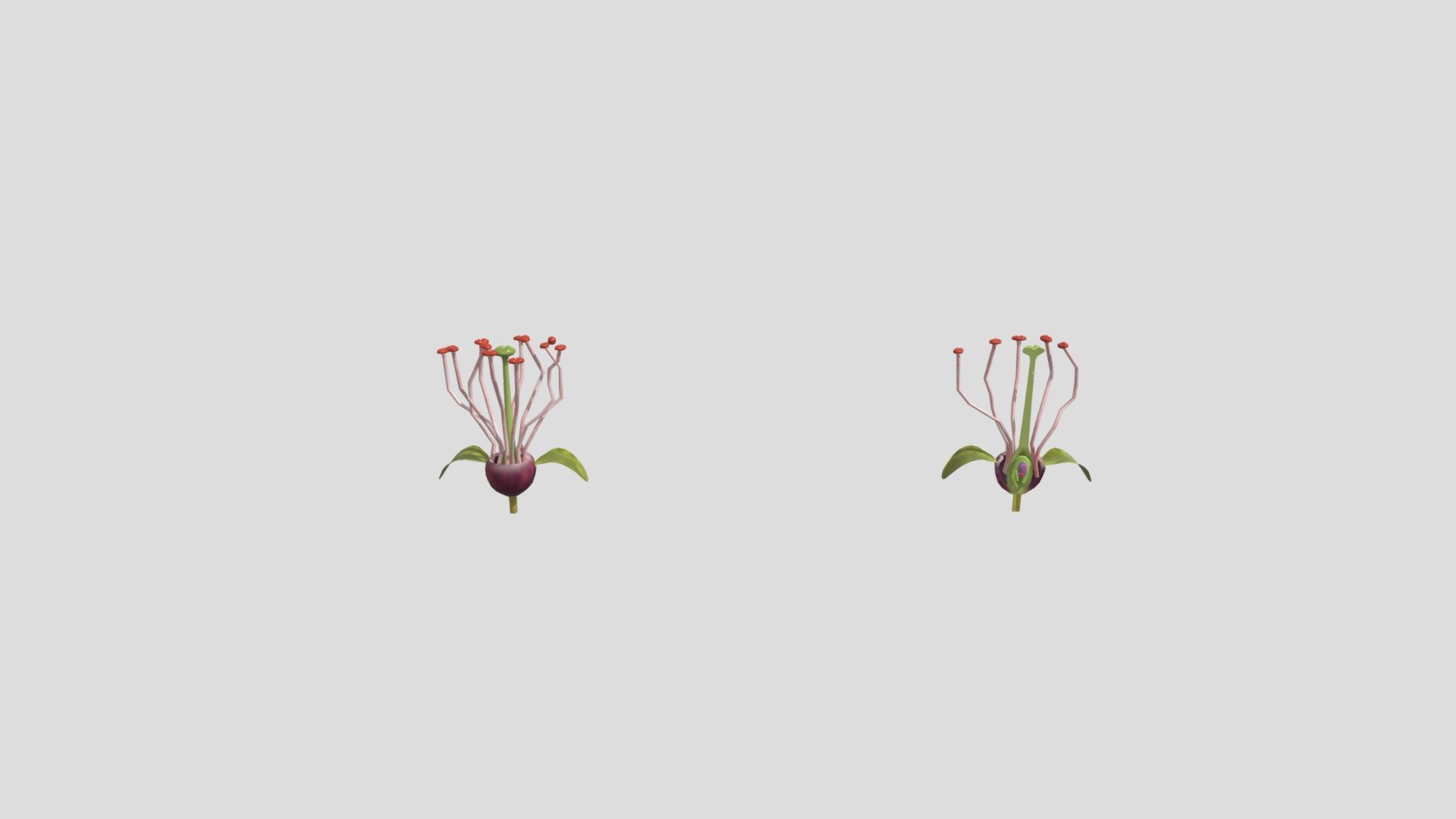 桃花