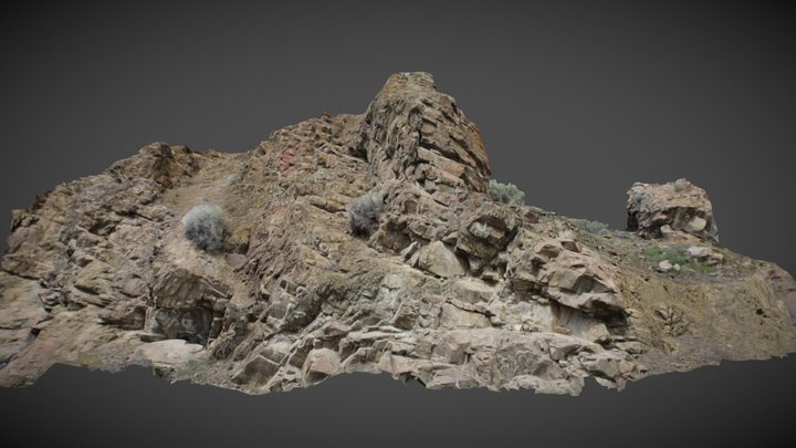 Oak Road Rock 3D Model