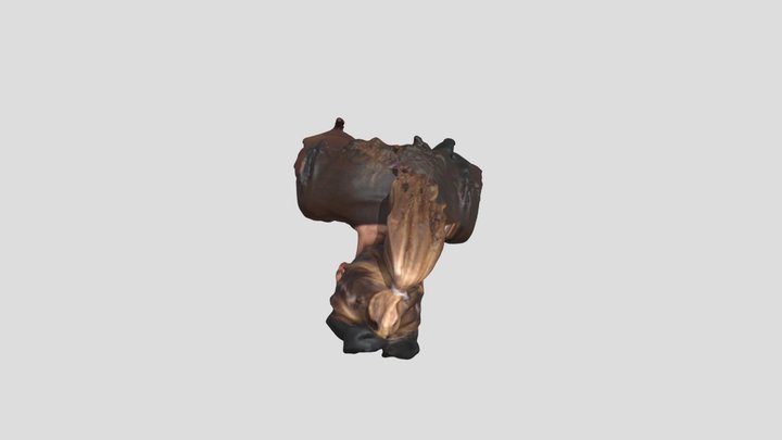 Hanny-model-centour 3D Model