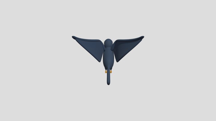 Toucan Model 3D Model