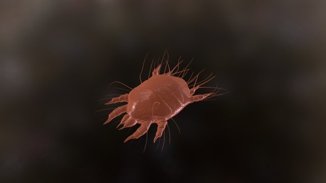 Tracheal Mite 3D Model