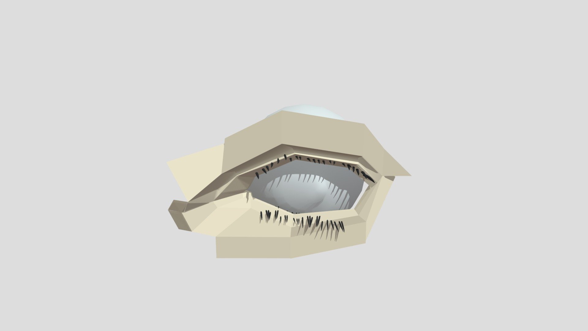 Ojo