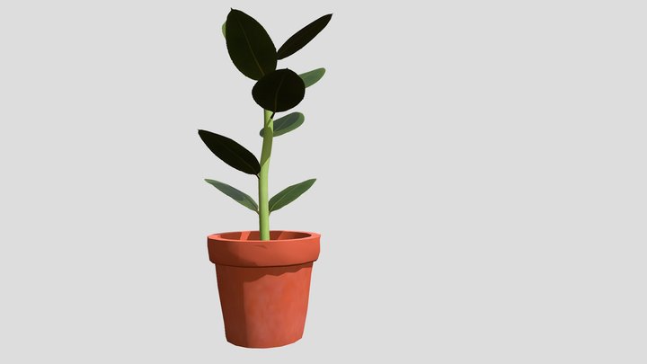 Plant_test 3D Model