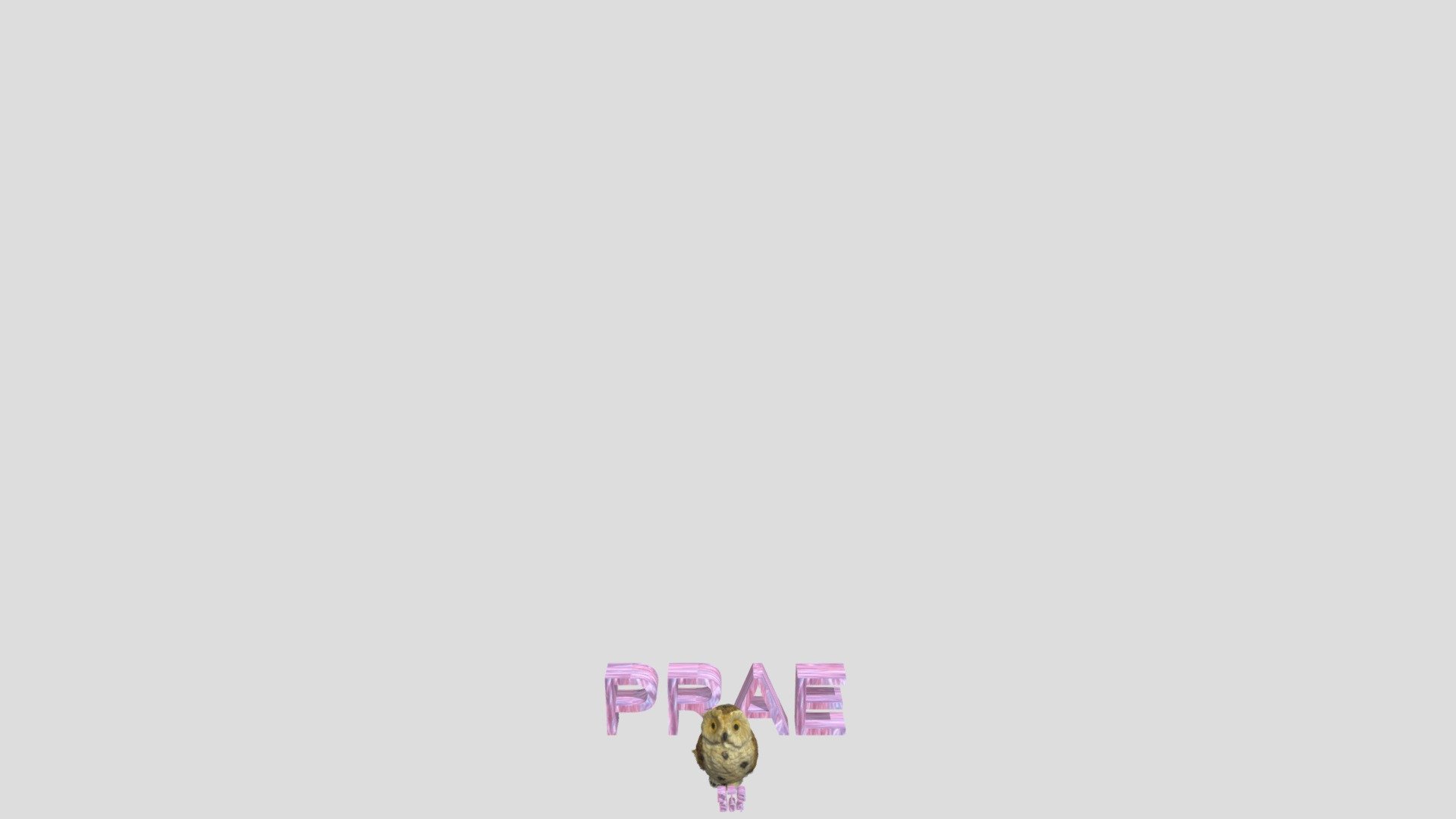 INDA_Y1_DTS_GROUP B_Prae