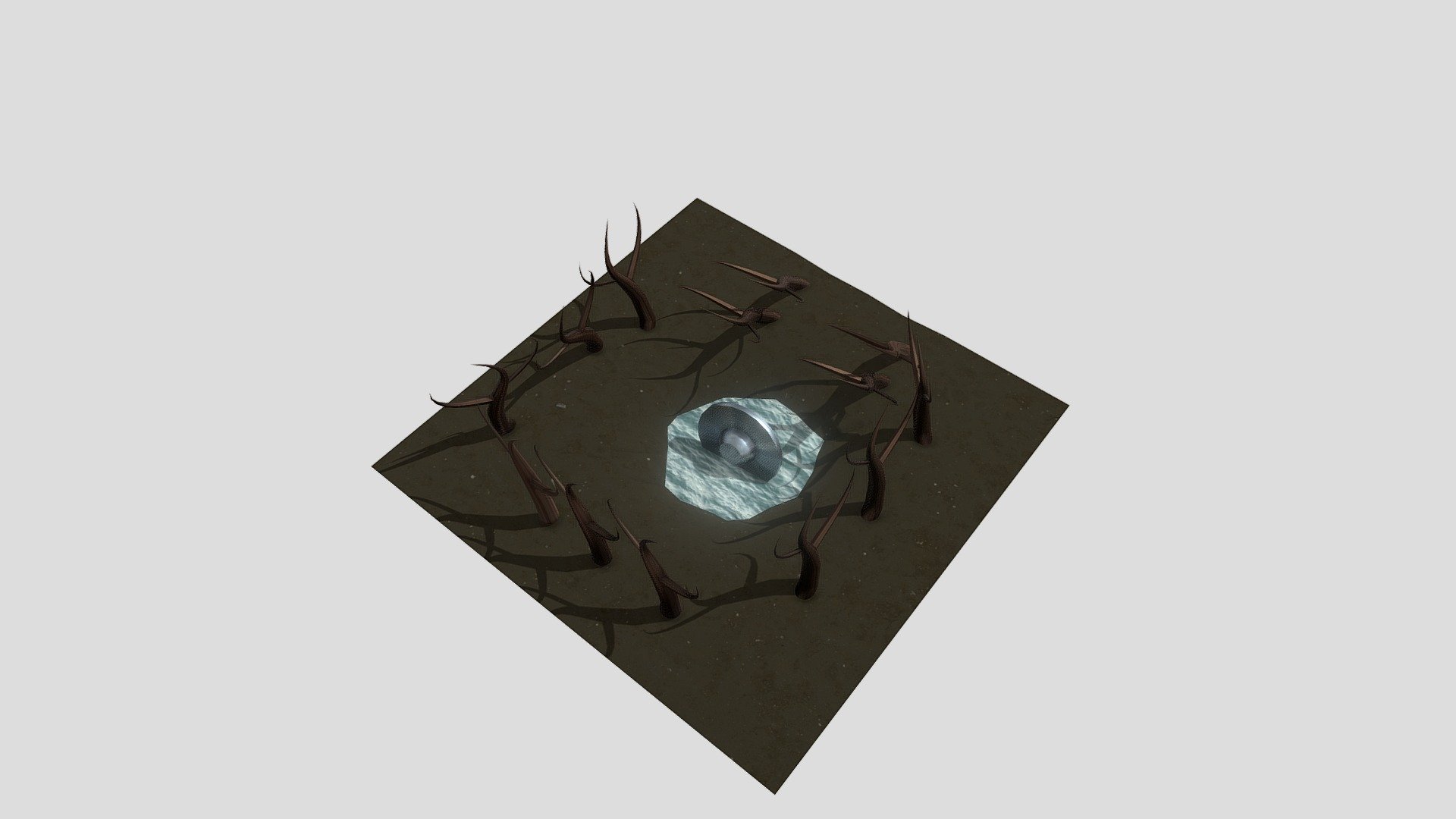 forset crash site