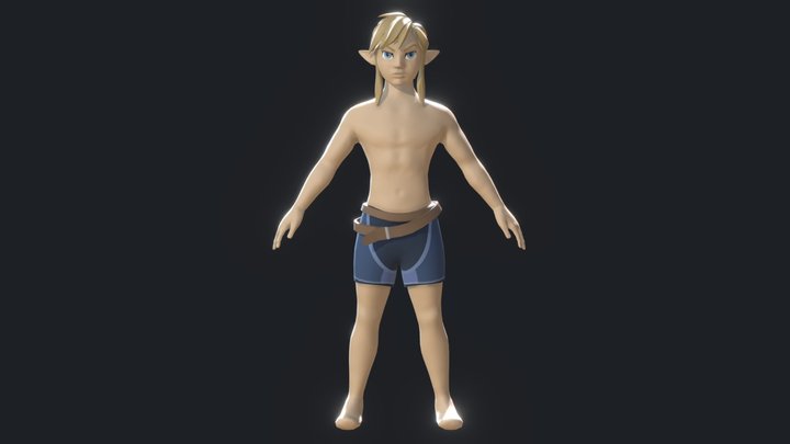 Link - Breath of the Wild 3D Model