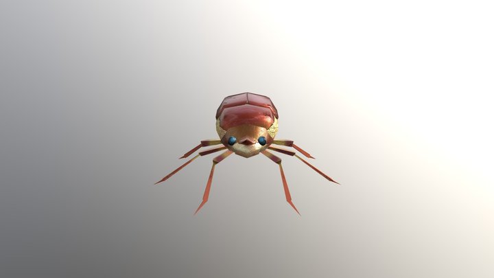 Warm Jewel Beetle 3D Model