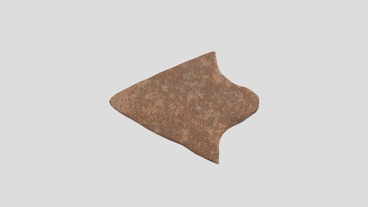 Arrowhead 3D Model